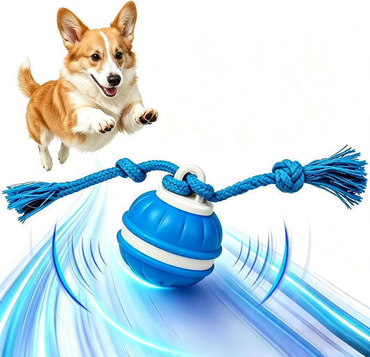 Interactive Dog Ball, 360° Self-Moving, USB-C, LED and Squeaker