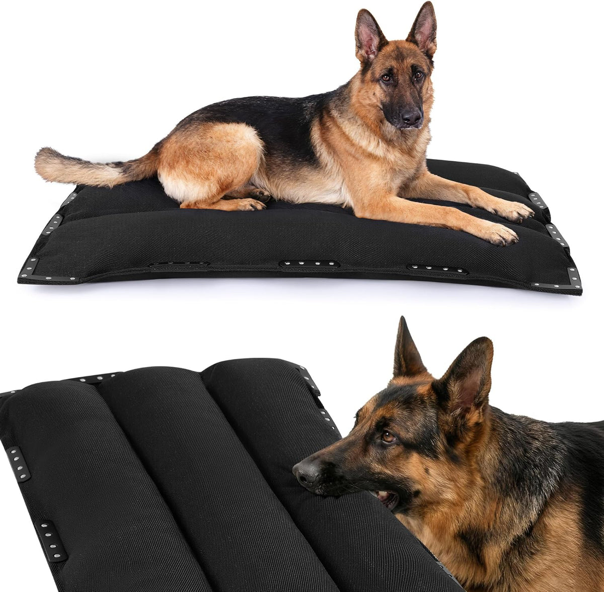 MABOZOO Chew-Proof Dog Bed with Metal Rivets, Durable Kennel Mat for Aggressive Chewers, Waterproof Crate Pad with Shredded Foam Fill for Large Dogs, (Indoor/Outdoor Use)