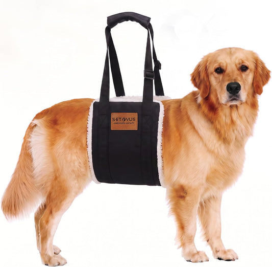LOOBANI Dog Lift Harness Rear Leg Support for Large Dogs Secure Belly Wrap