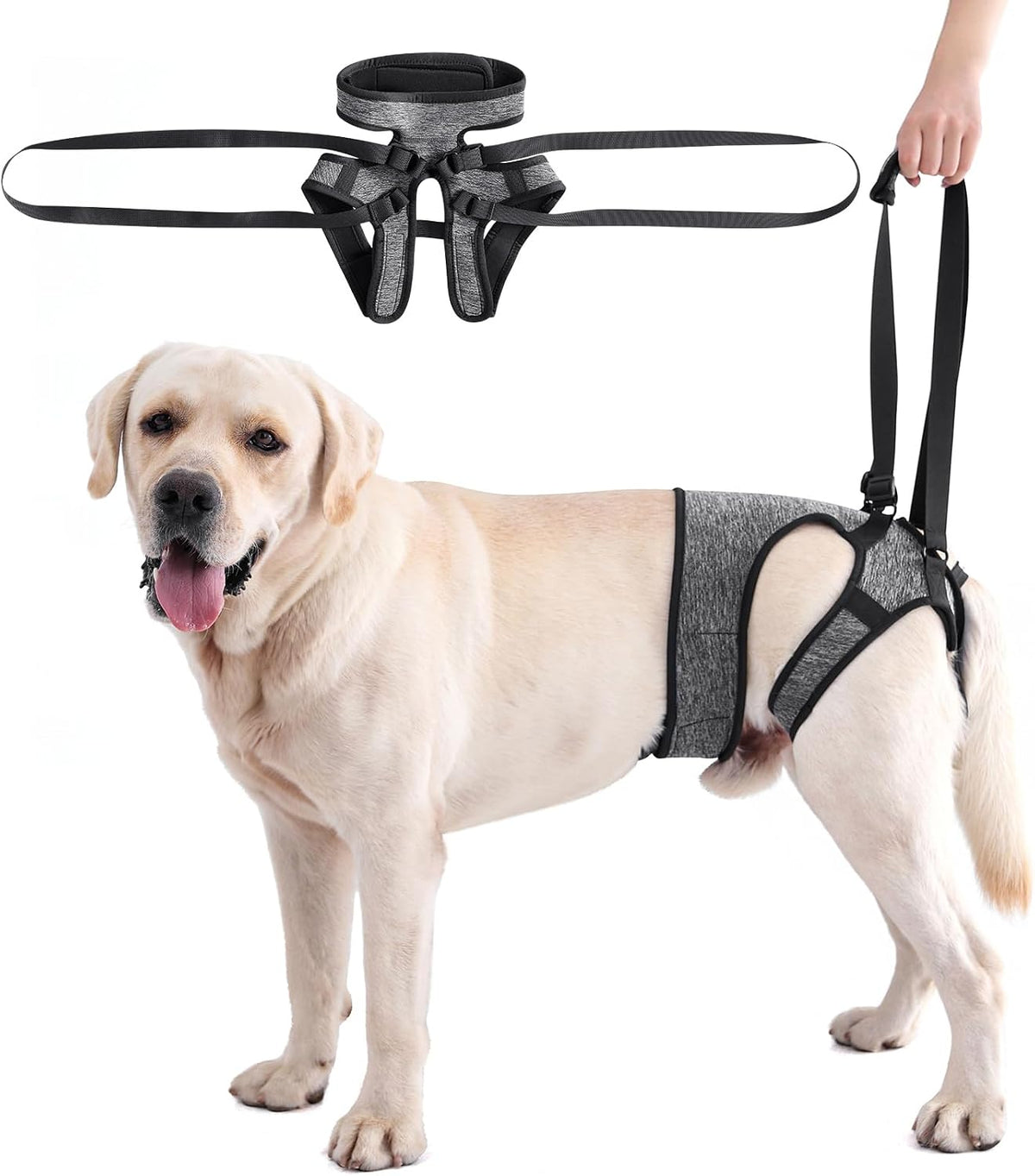 Adjustable Dog Sling Dog Lift Harness for Large Dogs Hind Leg Support