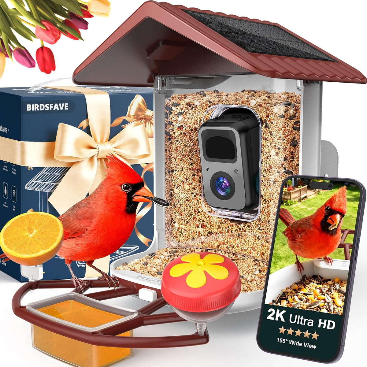 Bird Feeder with Camera Solar Powered 2K Video with 32GB Card Auto Capture