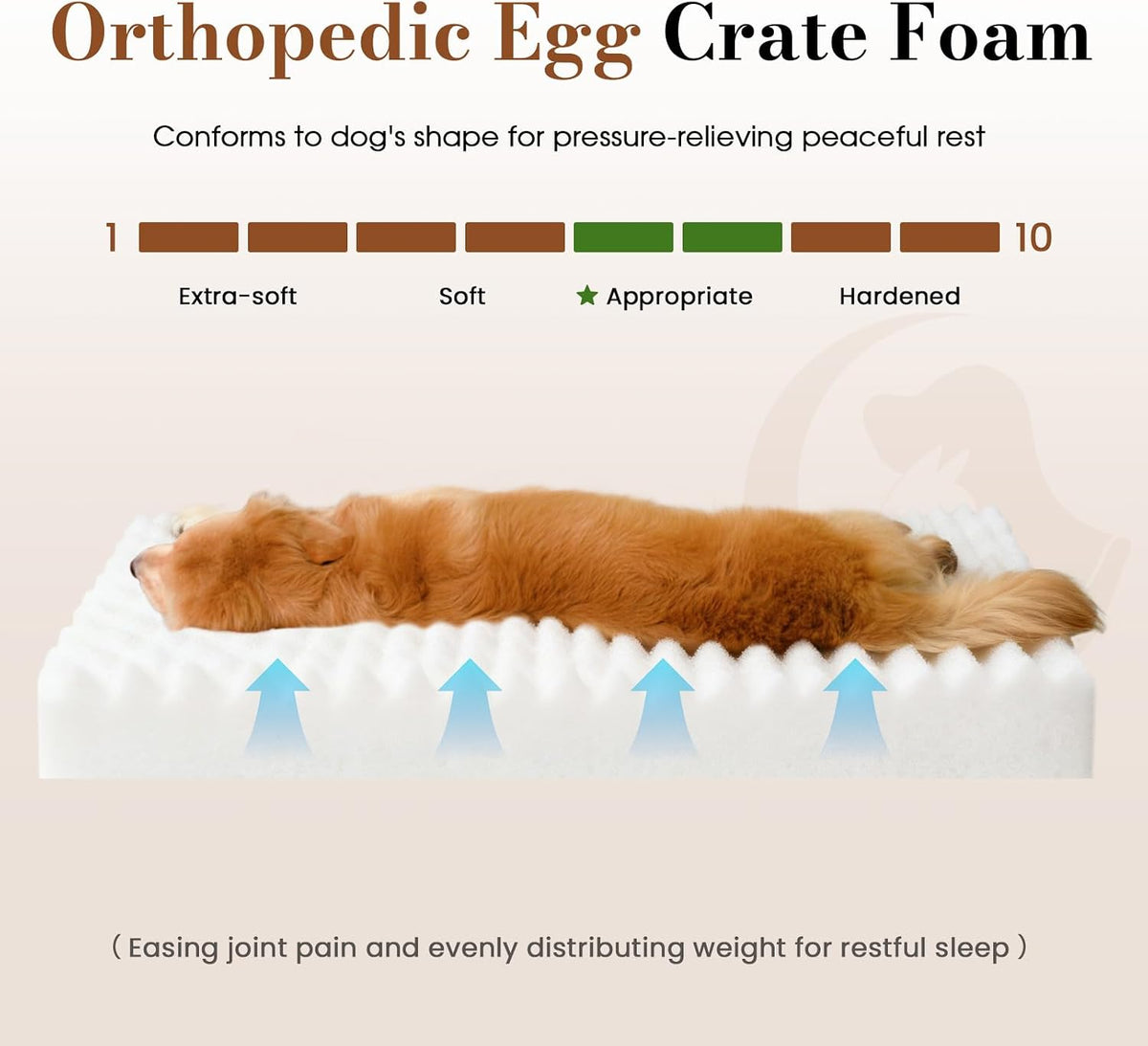 Dog Beds for Large Sized Dog, Orthopedic Foam with Waterproof Lining