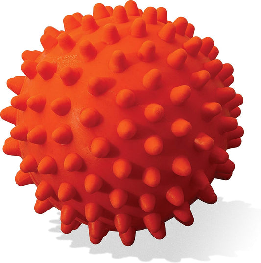 Franklin Pet Supply Co. Ready Set Fetch All Weather Launcher Ball - 3 Pack
