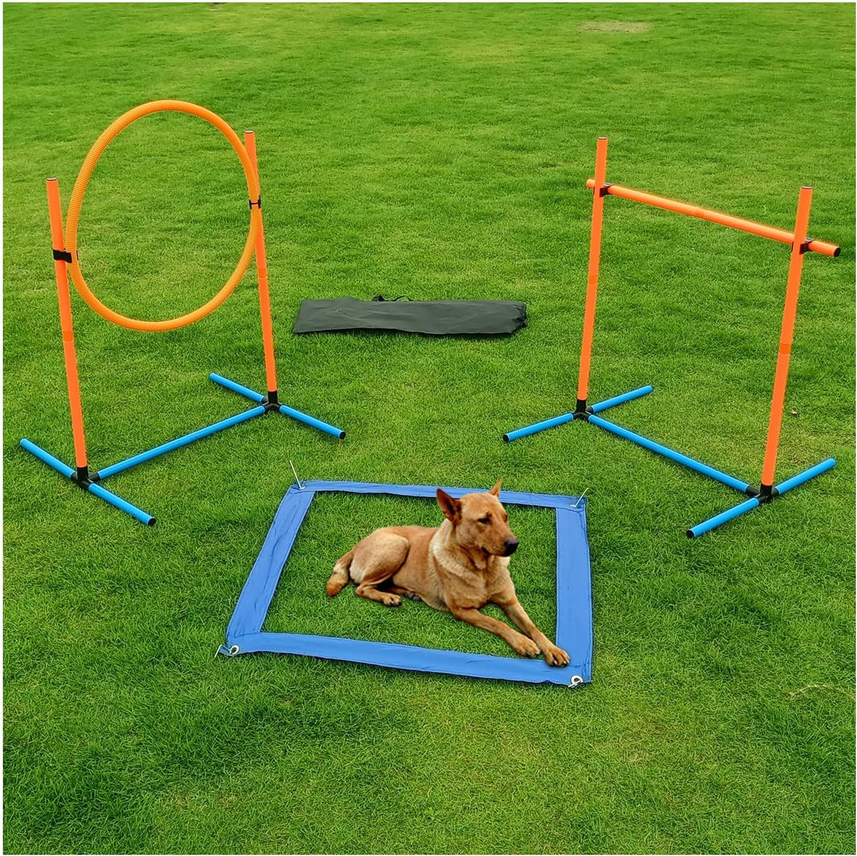 Dog Agility Set, Jump Ring, Jump Poles, Pause Box & Bag