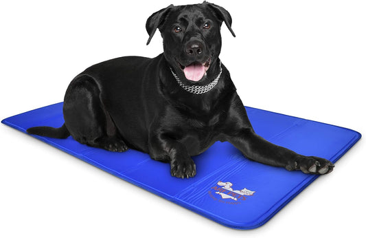 Water-Fillable Pet Cooling Mat, Pressure Activated Gel Cooling Pad for Dogs & Cats, Durable & Scratch Resistant, Perfect for Hot Weather to Prevent Overheating (88, Blue Bear, Medium)