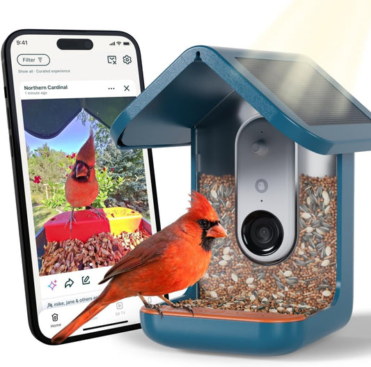 Birdbuddy Pro Solar Smart Bird Feeder with Camera, AI Bird ID, 2K Video