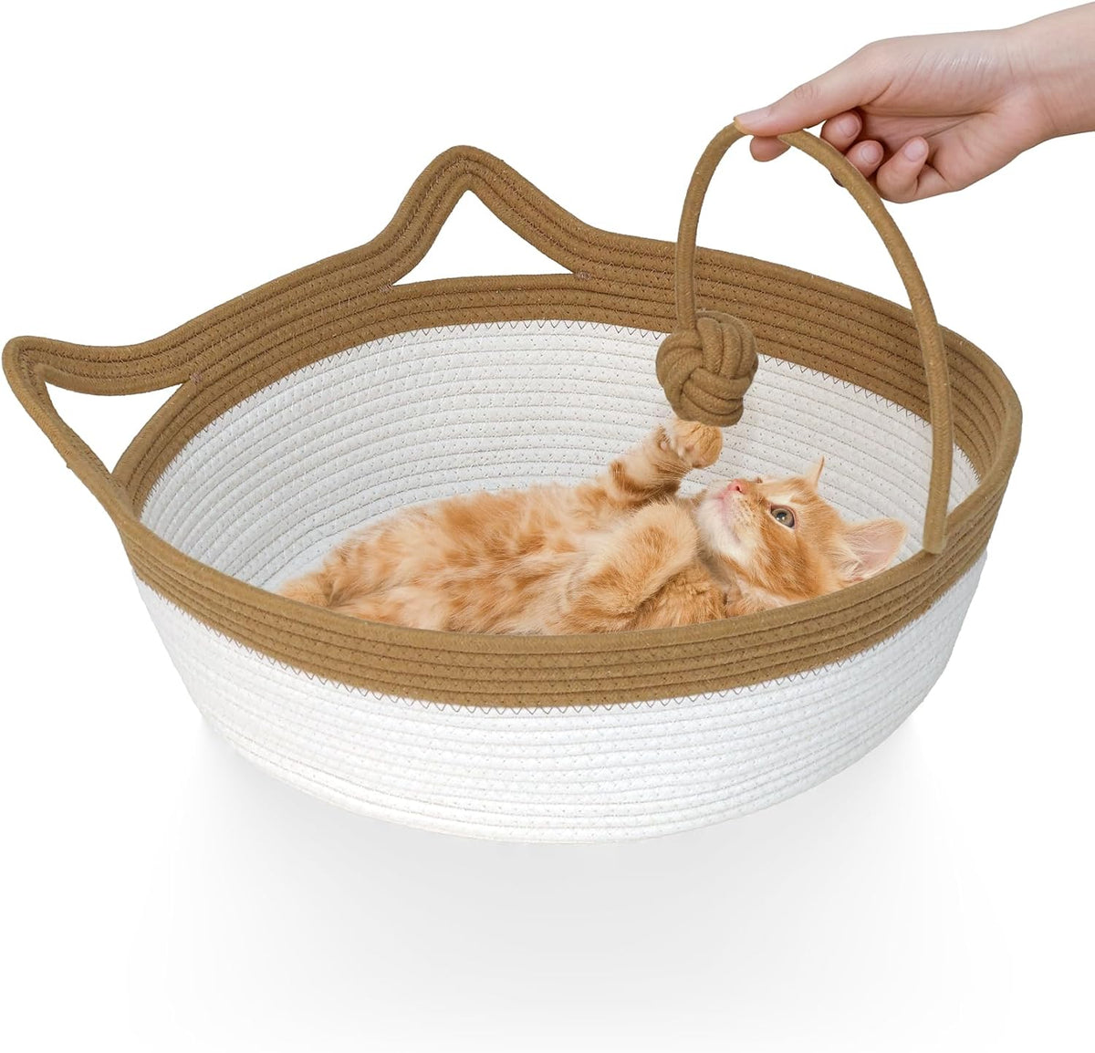 CATISM Cat Bed, Cat Beds for Indoor Cats with Covered Hooded
