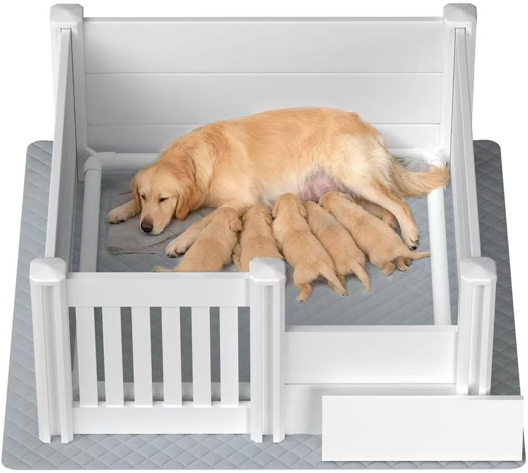 Whelping Box for Dogs,48*48*18In,With Pig Rails & Puppy Washable Pee Pad