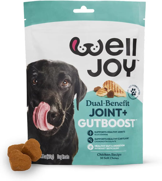 Pupford Soft & Chewy Training Treats for Dogs & Puppies (Chicken, 5 Oz)