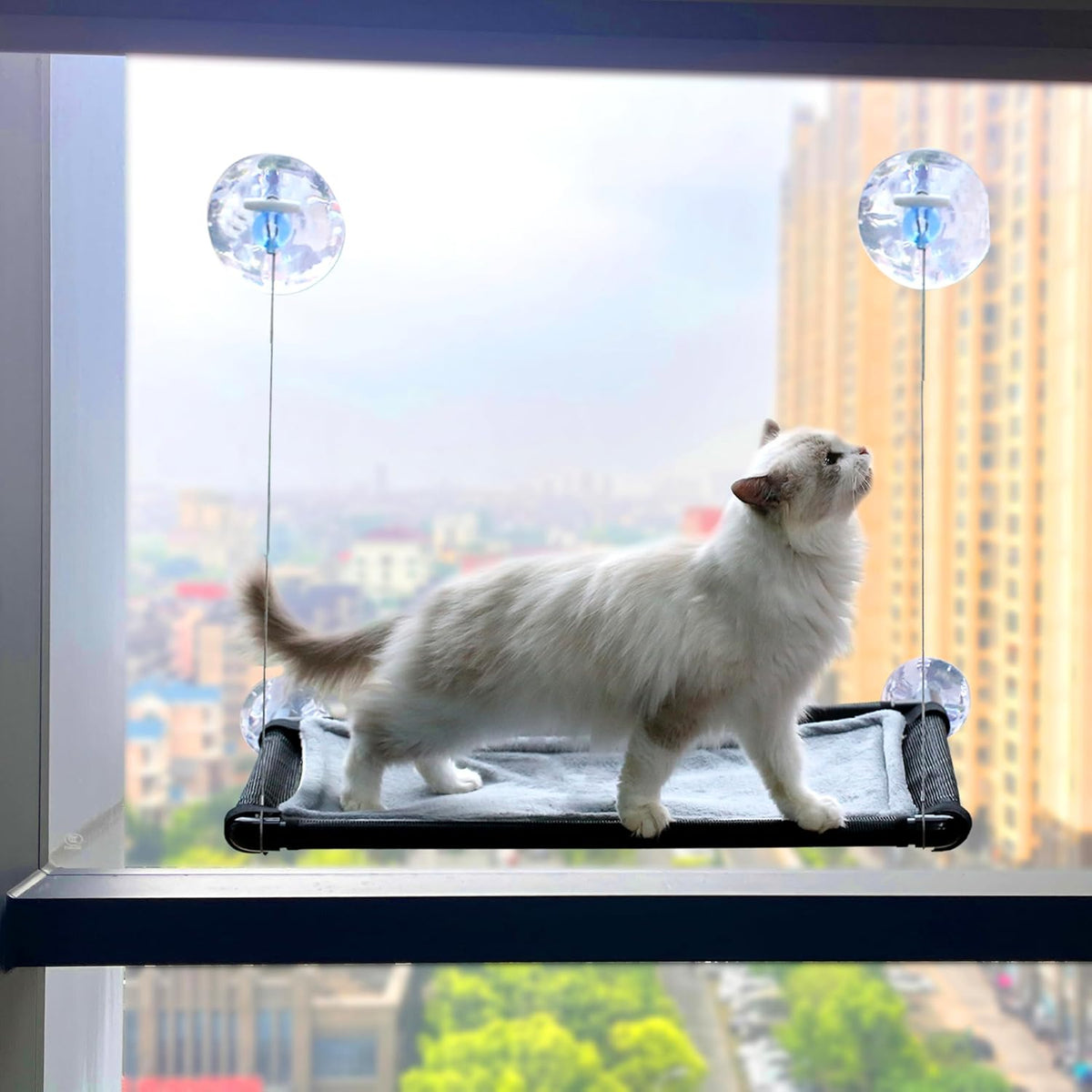 Cat Hammock for Window Wall with 4 Suction Cups 1 Cushion Cover,Cat Window Perch, Space Saving and Easy Mounted Large Cats Bed,Pet Resting Safety Holds (Black, Medium)