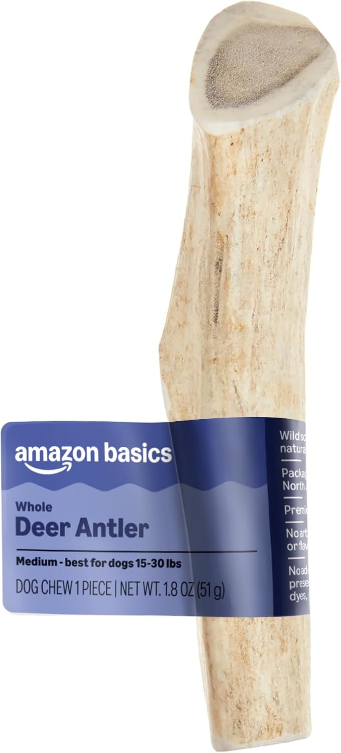 Amazon Basics Deer Antler Chew for Dogs, Naturally Shed, Whole, Medium 6-7.5 Inches, Long Lasting for Aggressive Chewers, Best for Dogs 15-30 Lbs, 1.80 Ounce (Pack of 1) (Previously Wag)