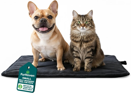 Furhaven Thermanap Self Warming Cat Mat, Dog Bed for Crates with Self-Warming Technology for Cozy Rest, Fully Machine Washable, Small, Plush Faux Fur, Black