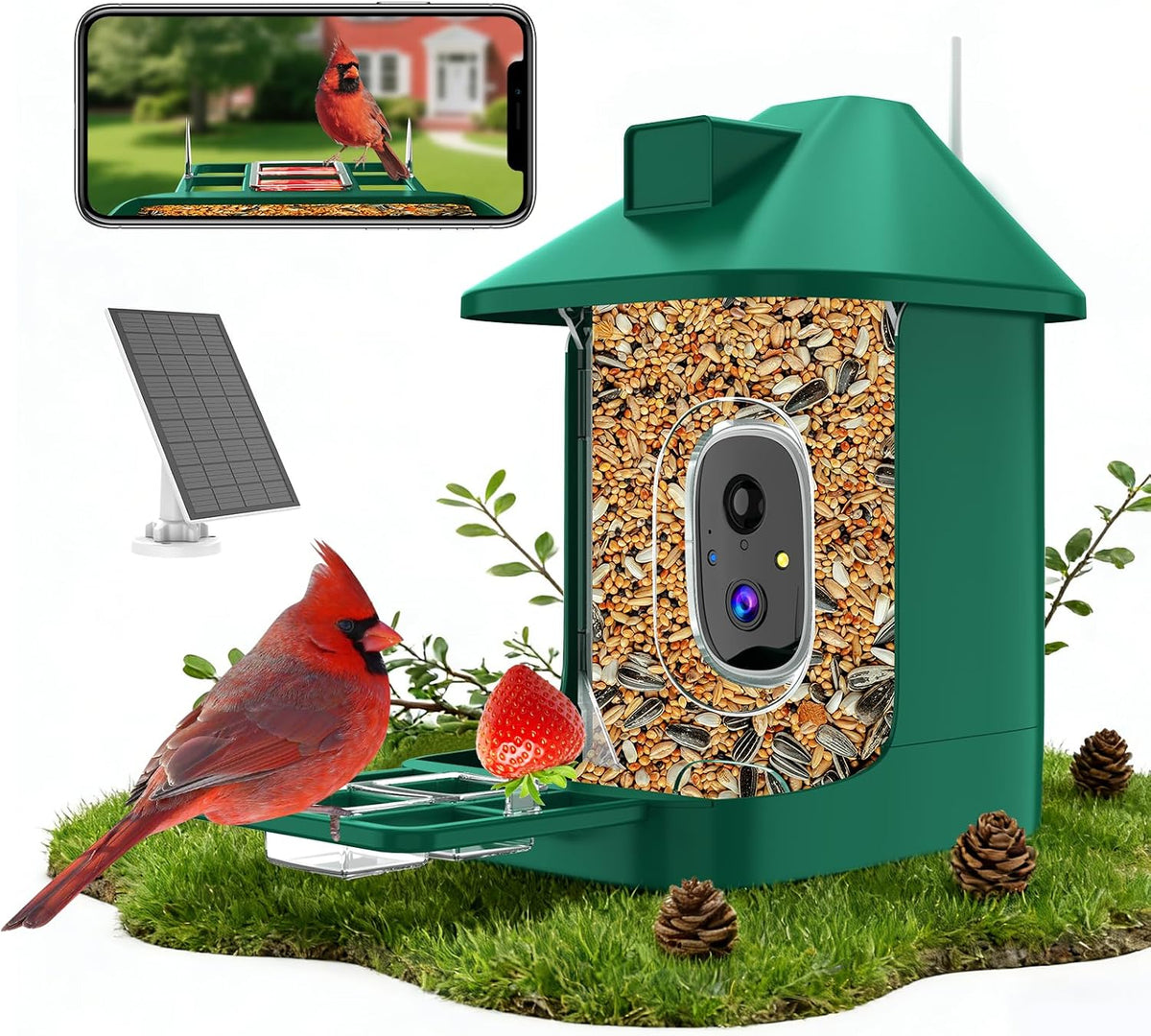 Bird Feeder with Camera,Wifi Smart Bird House with Cam Solar Powered