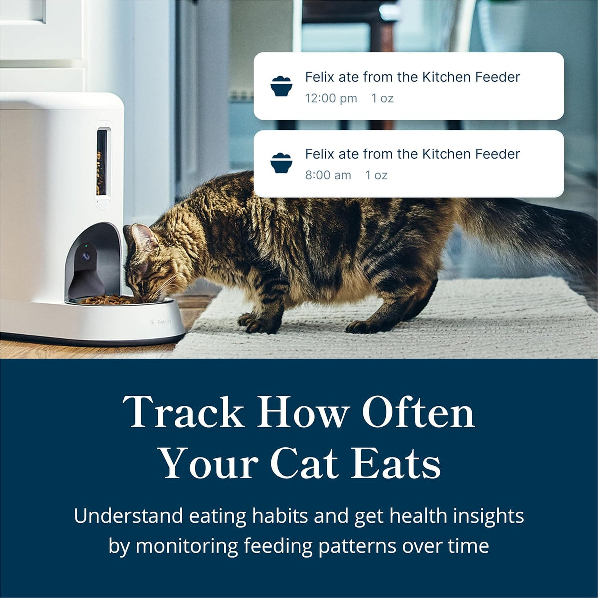Petivity Smart Feeder for Cats App-Controlled, Multi-Cat Tracking, AI Facial Recognition Cat Feeder