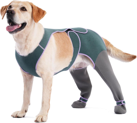 Dog Socks to Prevent Licking Paws, Breathable Soft Wound Protector for Dog'S Back Legs, Anti-Slip Paw Cover Boots for Injury Recovery, Pet Foot Sleeves for Small Medium Large Dogs (Medium)