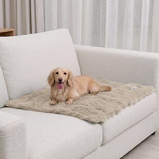 Paw Inspired Waterproof Dog Blanket, 32X24 Inch Size, Beige