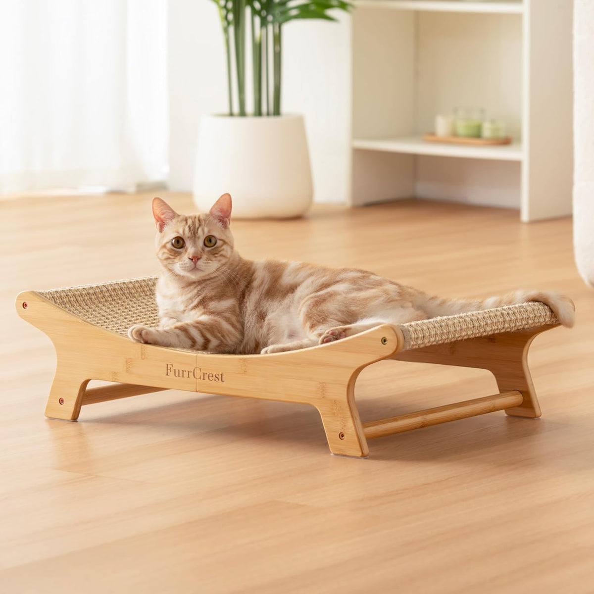 CHEERHOME PETS Handwoven Cat Basket Bed Cooling for Indoor Cat with Cushion
