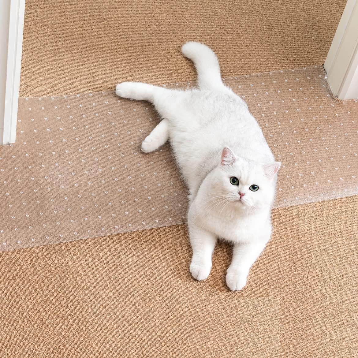 Uross Carpet Protector for Pets - Cat Scratch Guard Mat, anti Scratch under Door Guard, Easy to Cut Plastic, 3.6FT